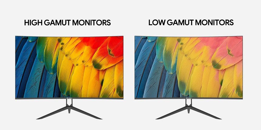 How to choose the right monitor for you?